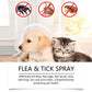 💐50% OFF ! Natural Flea & Tick Spray for Dogs & Cats – Protects Without Harsh Chemicals 🐶🌿【Limited Offer】