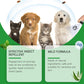 💐50% OFF ! Natural Flea & Tick Spray for Dogs & Cats – Protects Without Harsh Chemicals 🐶🌿【Limited Offer】