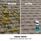 💐50% OFF ! Multi-Surface Moss Spray – Roof, Patio, Driveway 🌧️✨【24h Special Offer】