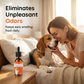 💐50% OFF! Dog Ear Care – Ideal for Lasting Daily Hygiene 🏠❤️【Exceptional Price】