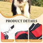 🐕 LIMITED‑TIME 50% OFF! 🦮 No‑Pull Dog Harness Kit with Leash & LED Collar – Escape‑Proof, Breathable Padding & Night Visibility 💡