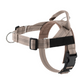 💐50% OFF ! No-Pull Padded Dog Harness – Easy On/Off in Seconds 🐕✨【Limited Offer】