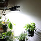 💐50% OFF! Outdoor Clip Lights – Easy Mount, No Wiring 🪟🔧【Fast Shipping】