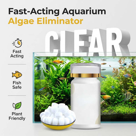 🐟💎 50K+ SOLD! 🧬 Algae Control Tablets – Stops Blooms at Cellular Level. Keep Your Tank Crystal Clear. 🌊✨🐠