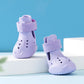 💐50% OFF ! Dog Shoes for Small to Medium Breeds – Protective & Secure Fit 🐶❤️【Limited Offer】