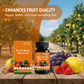 💐50% OFF ! Fruit & Berry Plant Food – Abundant Harvests Guaranteed 🍓📈 【Limited Offer】
