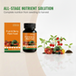 💐50% OFF ! Fruit & Berry Plant Food – Abundant Harvests Guaranteed 🍓📈 【Limited Offer】