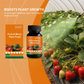 💐50% OFF ! Fruit & Berry Plant Food – Abundant Harvests Guaranteed 🍓📈 【Limited Offer】