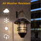 💐50% OFF! Solar Hanging Lantern – IP65 Waterproof & Weather-Resistant ☔🌀【Limited Quantities】