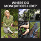 🌿 50% OFF ! Solar Mosquito Zapper Lamp Stake – Protect Your Garden, No Chemicals 🦟🌙 【Limited Offer】