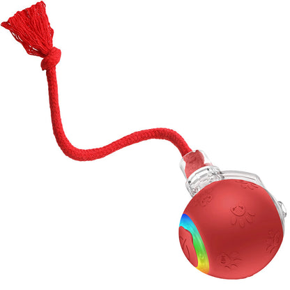 💐 50% OFF FLASH SALE! Interactive Cat Toy Ball – Automatic Rolling & LED Lights 🐱⚡【Limited Time】