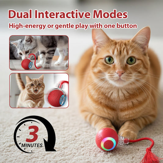 💐 50% OFF FLASH SALE! Interactive Cat Toy Ball – Automatic Rolling & LED Lights 🐱⚡【Limited Time】