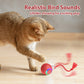 💐 50% OFF FLASH SALE! Interactive Cat Toy Ball – Automatic Rolling & LED Lights 🐱⚡【Limited Time】