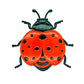 🌸🌿 LIMITED-TIME 50% OFF! 🐝🦋🐞 3D Insect Wall Hangings – Bee, Butterfly, Ladybug, Weather-Resistant for Garden & Patio ☀️🍃