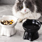 🍶✨🐈 Ergonomic Elevated Cat Bowl – Non-Toxic & Helps Reduce Whisker Fatigue 🧘‍♀️🥣🌸 – Comfortable Height for All Cats