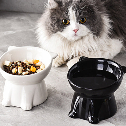 🍶✨🐈 Ergonomic Elevated Cat Bowl – Non-Toxic & Helps Reduce Whisker Fatigue 🧘‍♀️🥣🌸 – Comfortable Height for All Cats