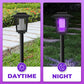 🏕️🦟 LIMITED-TIME 50% OFF! Outdoor Solar Bug Zapper – Hanging & Stake Mount, Large Coverage (Up to ½ Acre), Built-in Rechargeable Battery – Your Camping & Backyard Guardian 🌲🌙