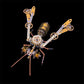 🐝🔧 Hot Pick! 🧩⚙️ 3D Metal Bee Puzzle Assembly Model Kit – Premium metal alloy, intricate gear details, and rewarding DIY build. Perfect for hobbyists, collectors, and puzzle lovers! 🏆 Loved by 5,463+ builders!