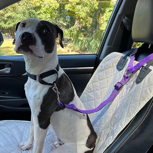 🚗🦮 50% OFF! 🐕2-in-1 Dog Car Seat Belt & Walking Leash – Safe & versatile for car rides and outdoor walks.