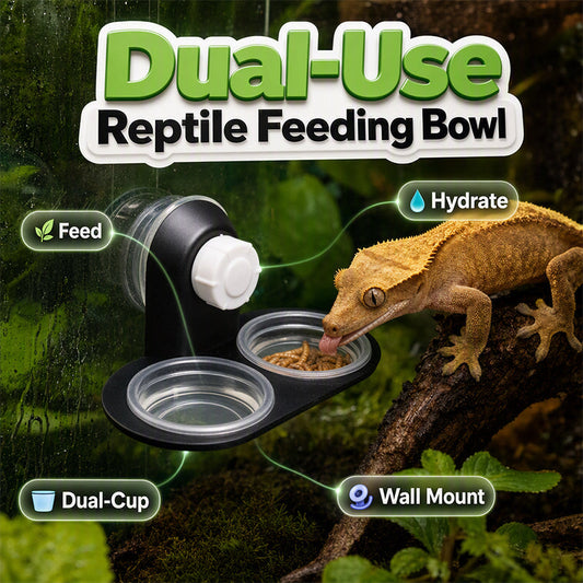 🦎 Double Reptile Feeding Ledge with Bowls – Secure Suction Hold & Removable Cups