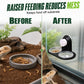🦎 Double Reptile Feeding Ledge with Bowls – Secure Suction Hold & Removable Cups