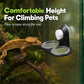 🦎 Double Reptile Feeding Ledge with Bowls – Secure Suction Hold & Removable Cups