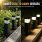 ☀️ 50% OFF NOW! 🌿 Solar Garden Lights – Dusk-to-Dawn Sensor, Waterproof & Layered Glow – For Yard, Pathway & Landscape Decoration 🏡