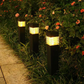 ☀️ 50% OFF NOW! 🌿 Solar Garden Lights – Dusk-to-Dawn Sensor, Waterproof & Layered Glow – For Yard, Pathway & Landscape Decoration 🏡
