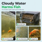 🐠 LIMITED‑TIME 50% OFF! 🫧 Activated Carbon Filter Cube – Honeycomb Filtration for Crystal‑Clear Water 🌿